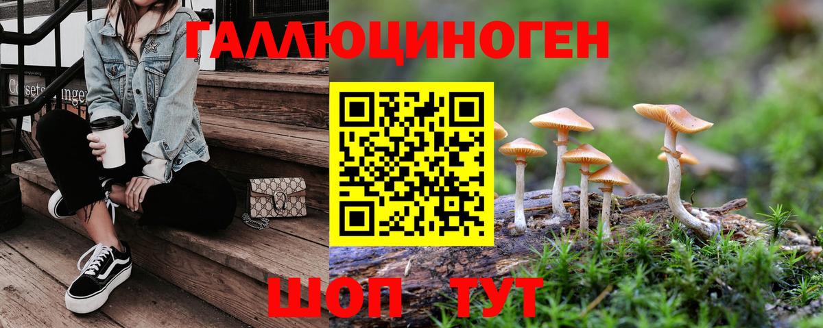 Мелеуз  сколько стоит  Вход с VPN  Псилоцибиновые грибы GOLDEN TEACHER  Галлюциногенные грибы прущие грибы 