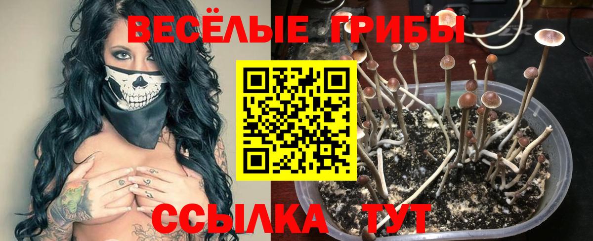 Псилоцибиновые грибы мухоморы Мелеуз